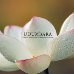 udumbara_centras